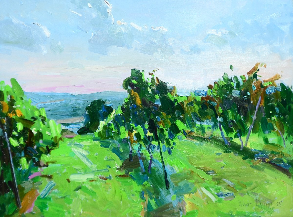 Impressionistic Landscape Oil Painting By Yehor Dulin, 16 X 12", " Vineyards ", Original Artwork