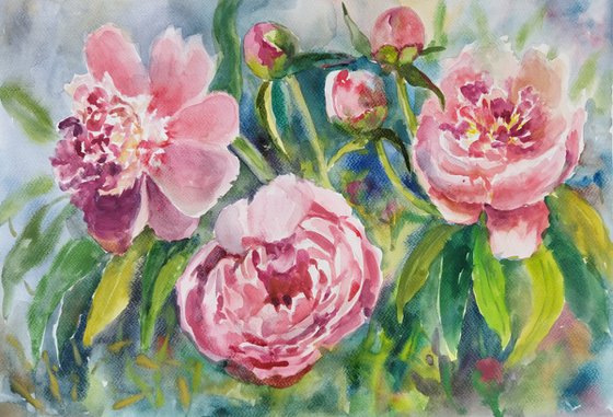 Peony flowers