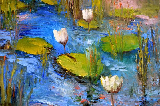 White Lily Pond