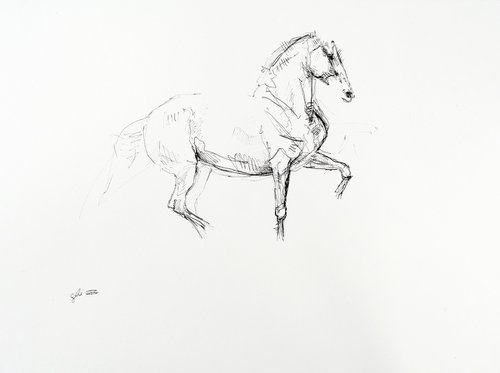 Equine Nude 30a by Benedicte Gele