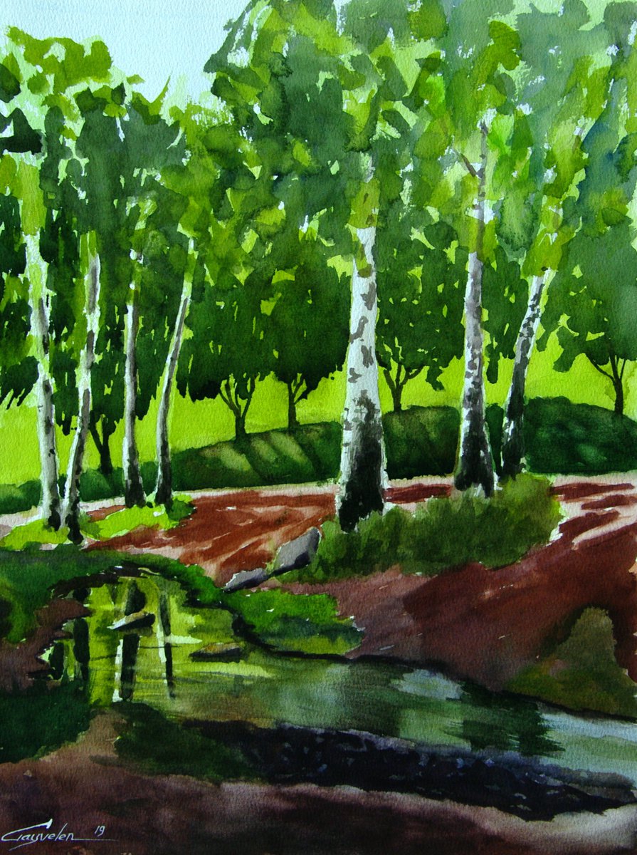 Russian birch trees by Elena Gaivoronskaia