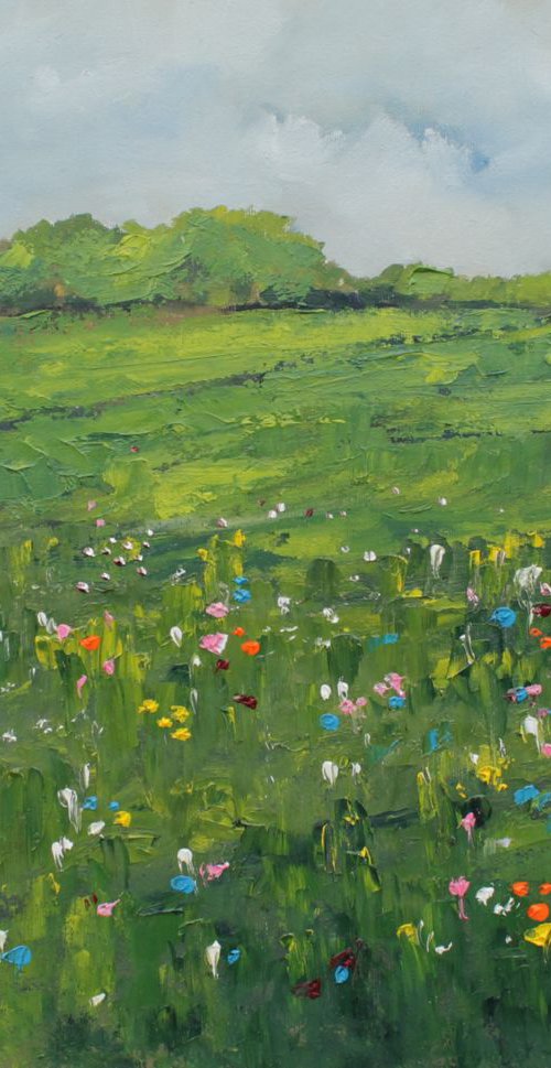 Wildflowers by John Halliday