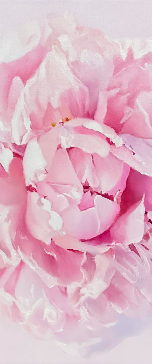 Peony Portrait by Alla Kallass
