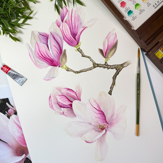Magnolia Branch