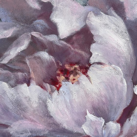 Peonies in the morning haze