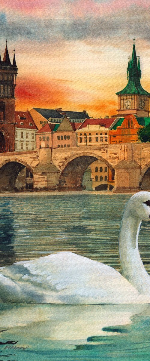 Swan next to Charles Bridge by REME Jr.