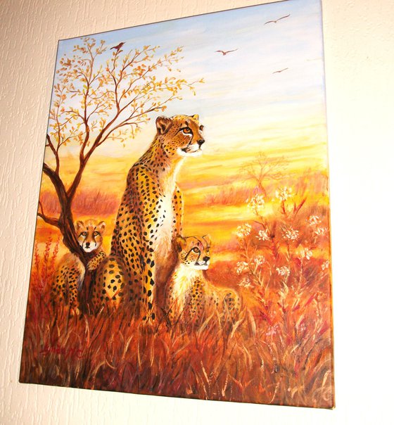 CHEETAH FAMILY