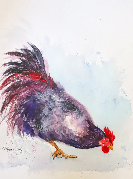 Rooster