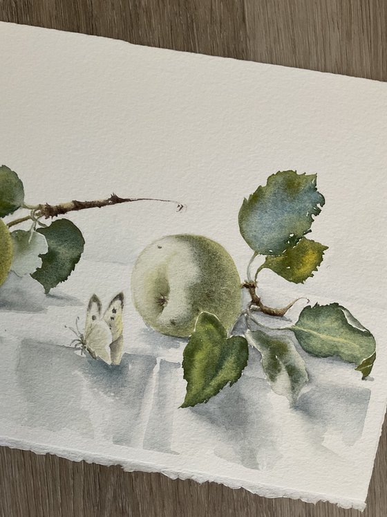 Stillness in the Garden