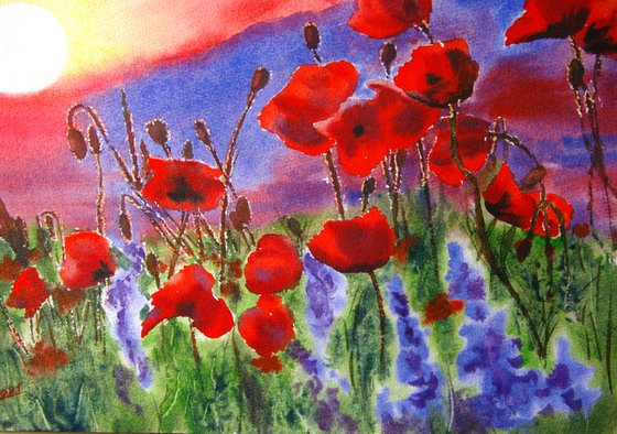 Red poppies