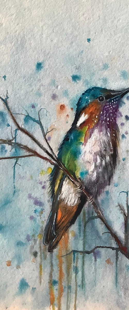 Hummingbird by Darren Carey