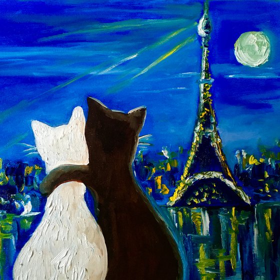 Cats in Paris. Travel to Paris, Parisian roofs , romantic night .