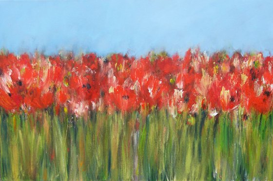 Poppy Field IV