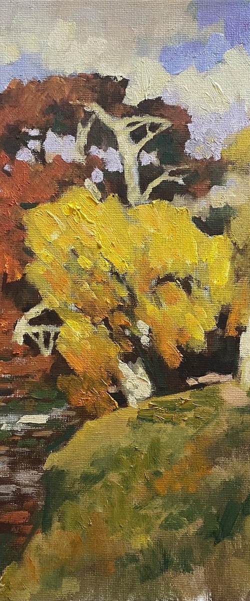 Trees in Autumn Park by Jixiang Dong