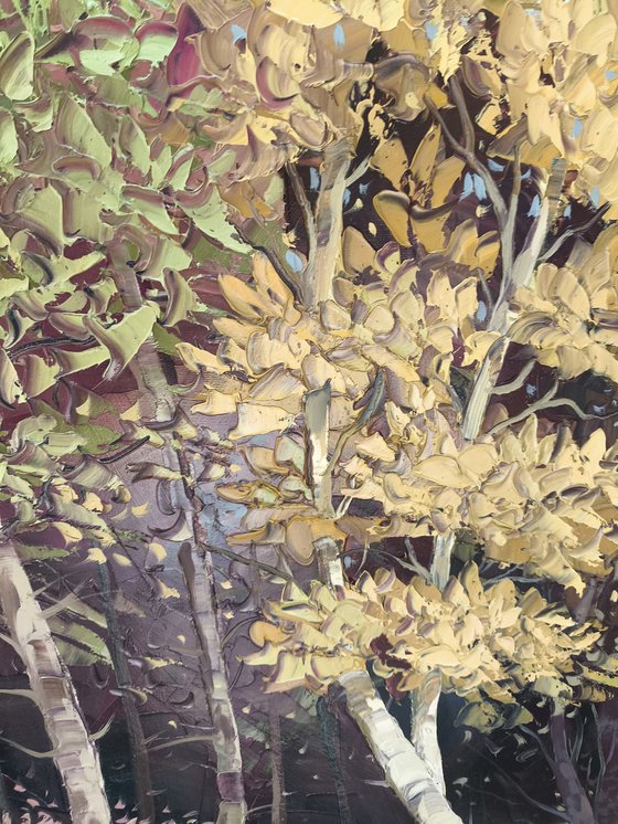 Woodland Dreams