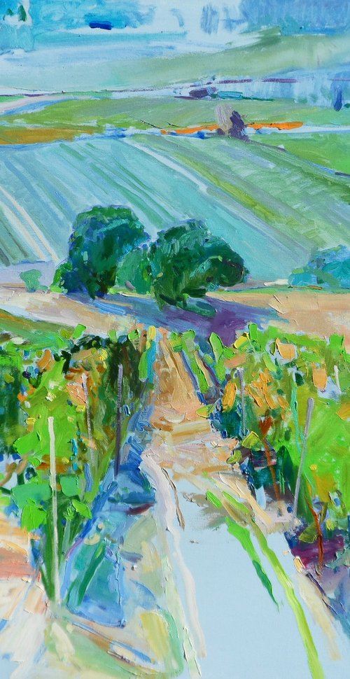 " Valley of vineyards" by Yehor Dulin