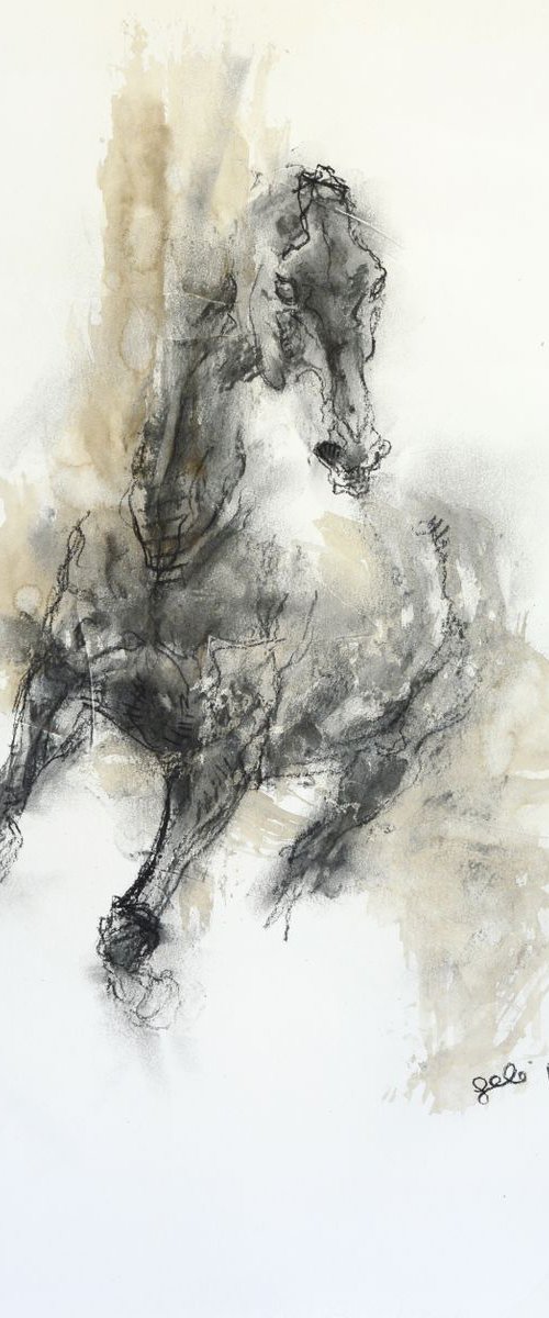 Equine Nude 70t by Benedicte Gele