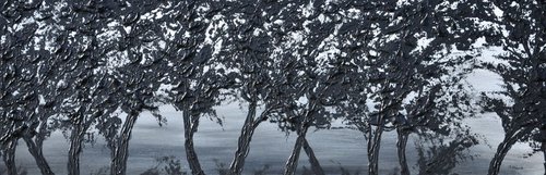 Black Trees by Daniel Urbaník