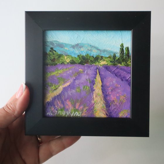 Lavender Fields Scene