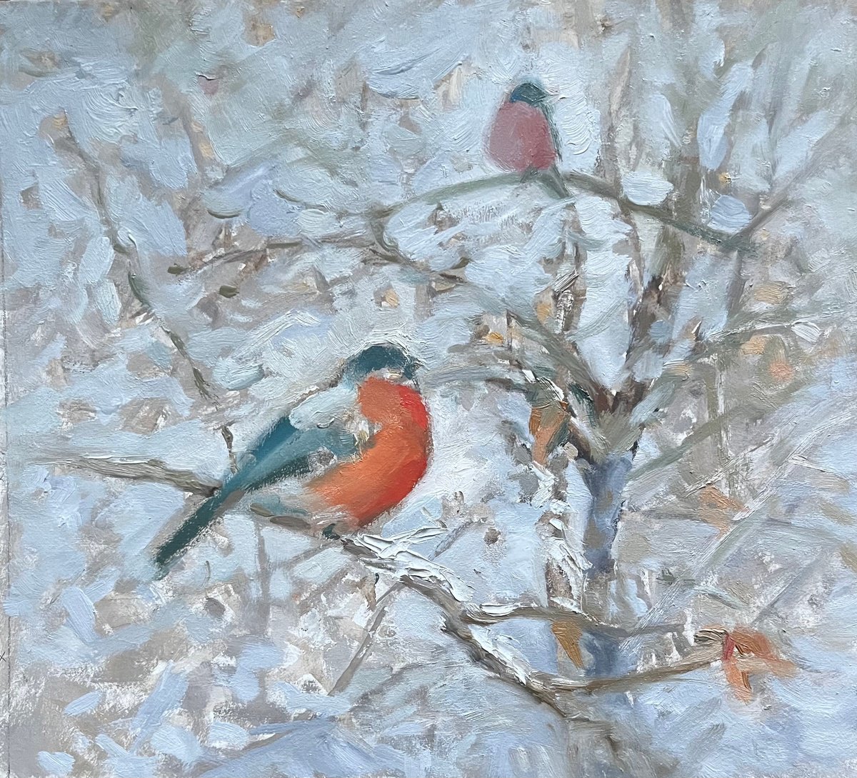 American Robins Bullfinches birds on a tree original oil painting Oil