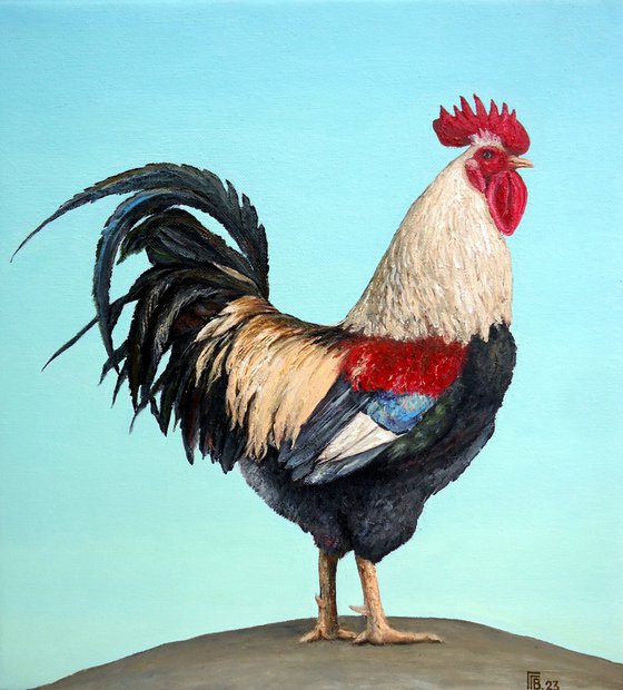 "Faverolle Rooster"