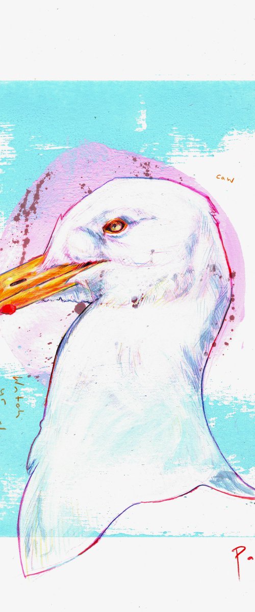 Herring gull by Paul Ward