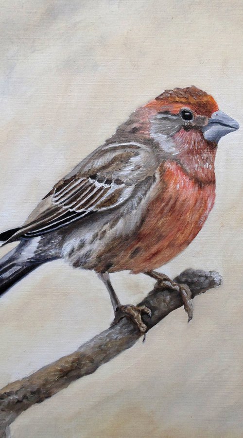 Eager For Winter by Angeles M. Pomata
