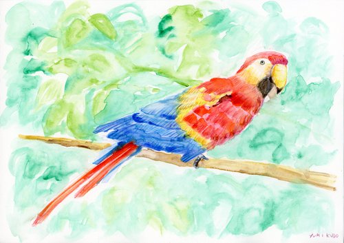 Happy parrot by Yumi Kudo