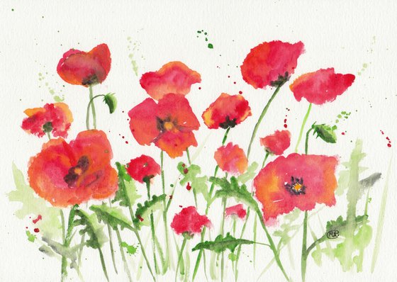 Poppies in Meadow