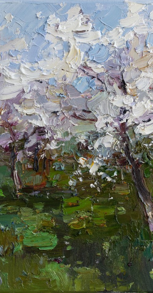 Flowering trees by Anastasiia Valiulina