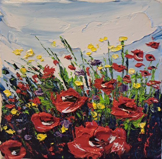 Red Poppies