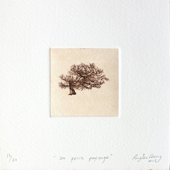 “ UN PETIT PAYSAGE ” #48 & #45