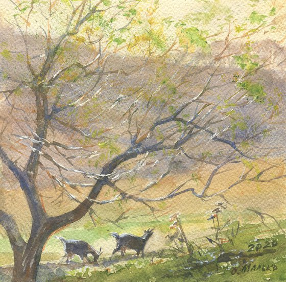 Spring scenery with goats. Grassland through sparkly twigs / Rural nature Small watercolor landscape