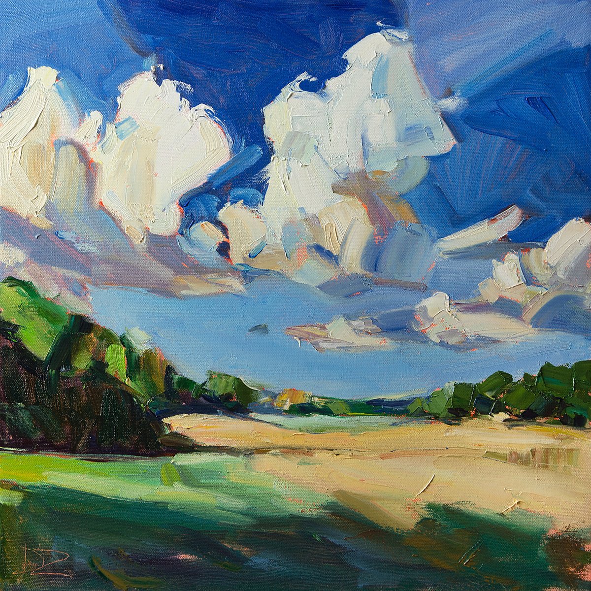 Impressionistic Landscape Oil Painting By Daria Zavadenko, 16 X 16, Fields Under Summer Skies, Original Artwork