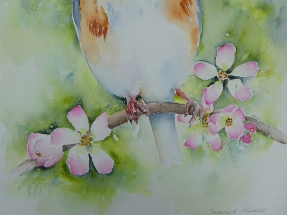 Goldfinch and Apple Blossom