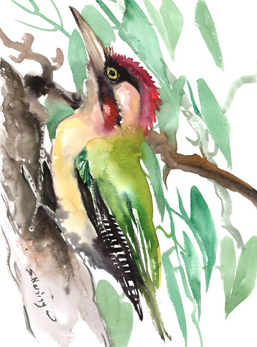 Green Woodpecker by Suren Nersisyan