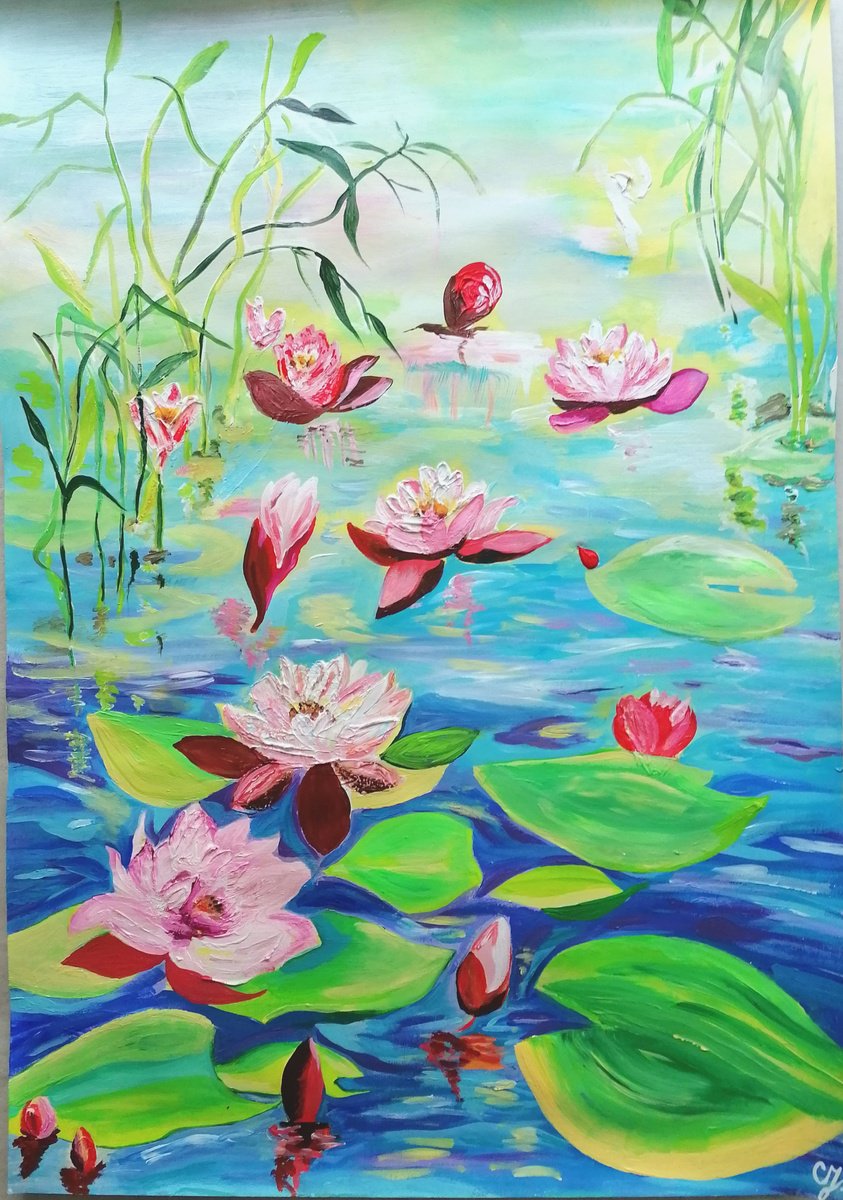 Water lilies by Sanja Jancic
