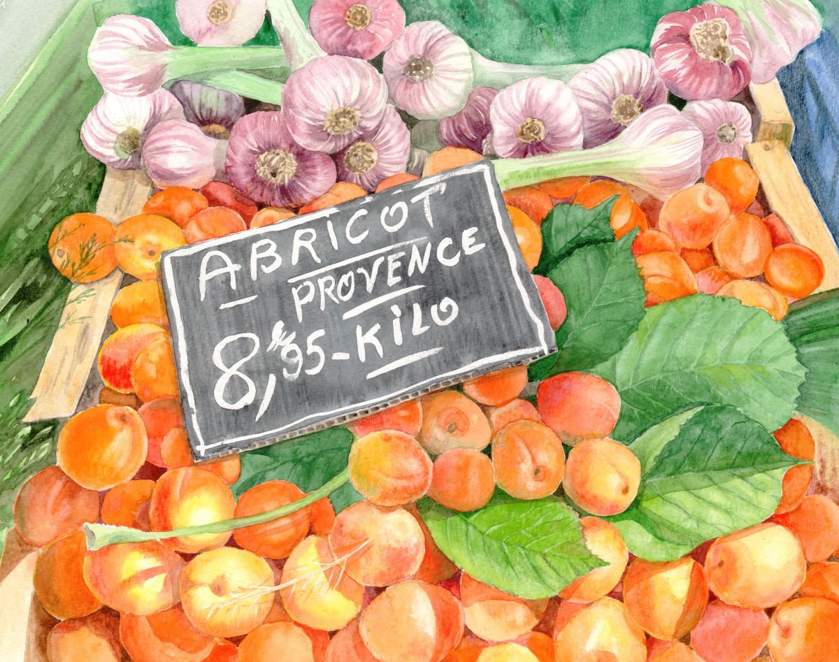 Apricots in an Open Air Market in Nice, France by Olga Beliaeva Watercolour