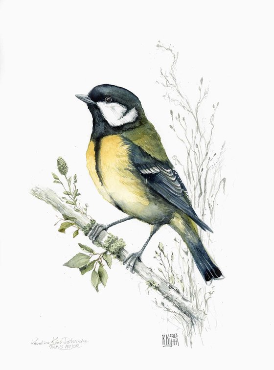 Spring Great chickadee