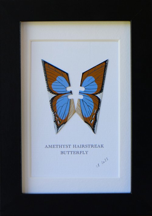Amethyst Hairstreak butterfly by Lene Bladbjerg