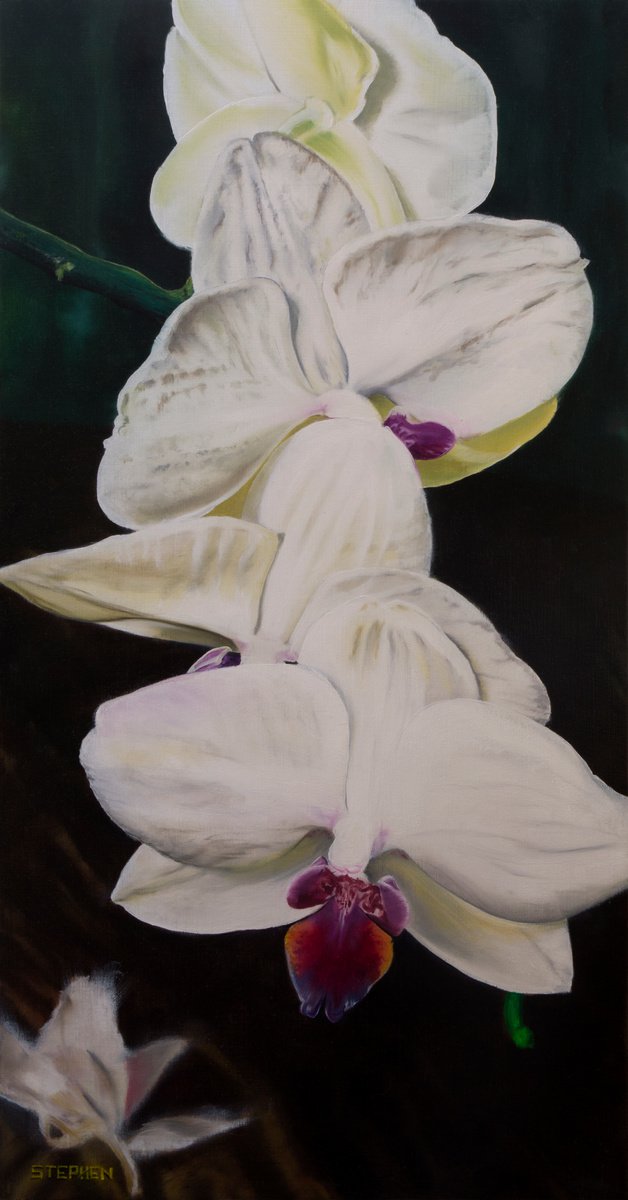 Photorealistic Botanical Oil Painting By Steven M. Curtis, 15 X 30", Orchid Parade, Original Artwork