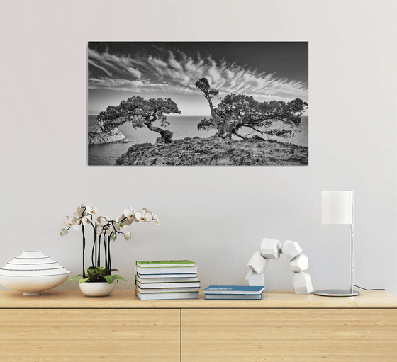 Guardians of the Cliff