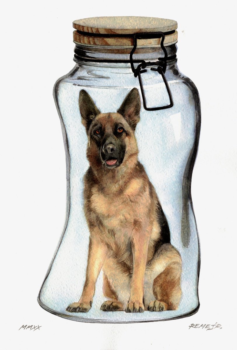 Photorealistic Animal Watercolour By Reme Jr., 10 X 14", German Shepherd In Jar V, Original Artwork