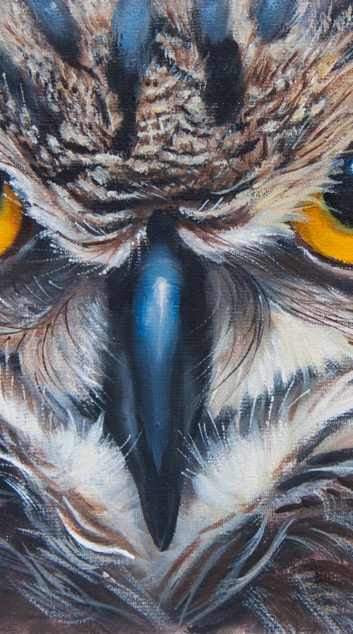 Owl 5 by Norma Beatriz Zaro