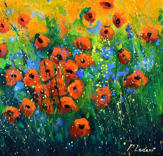 Flowers in Provence