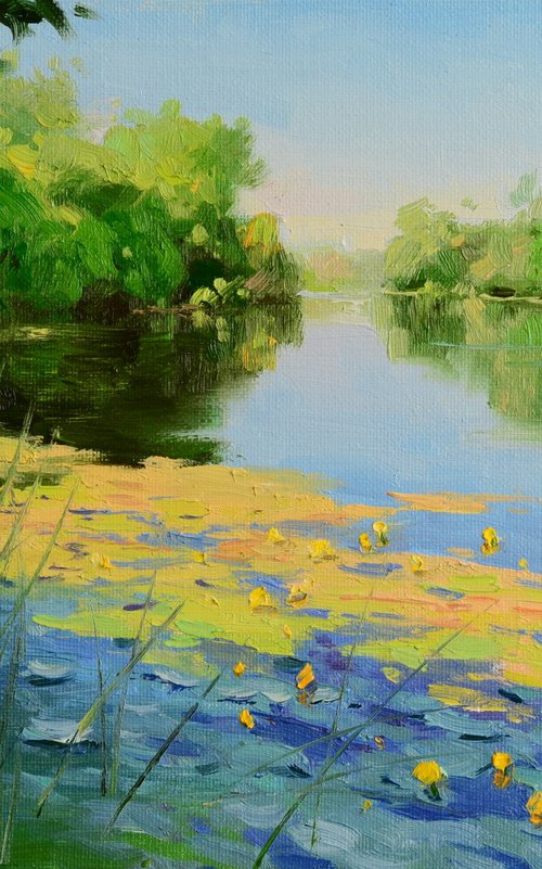 Water lilies in the shade by Ruslan Kiprych