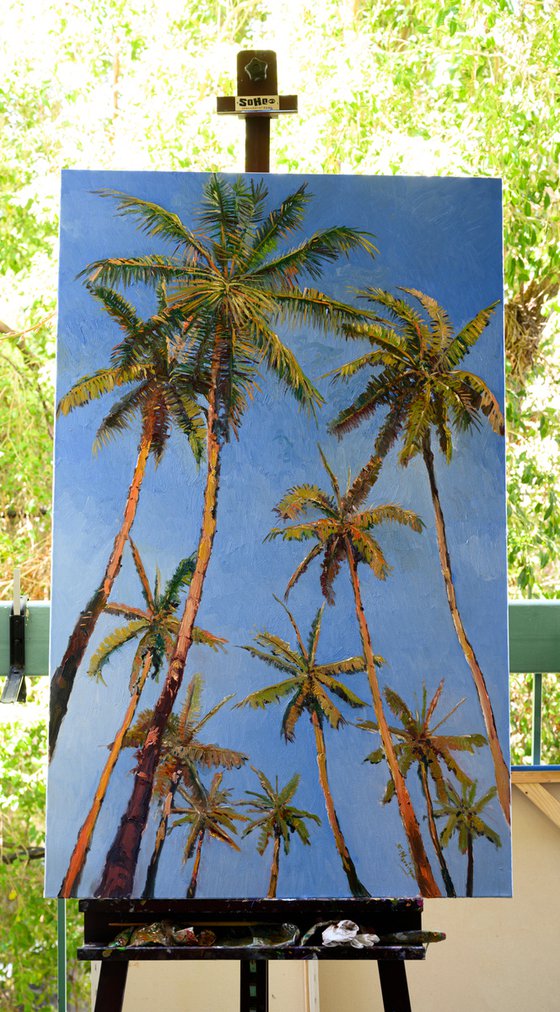 Coconut Palm Trees