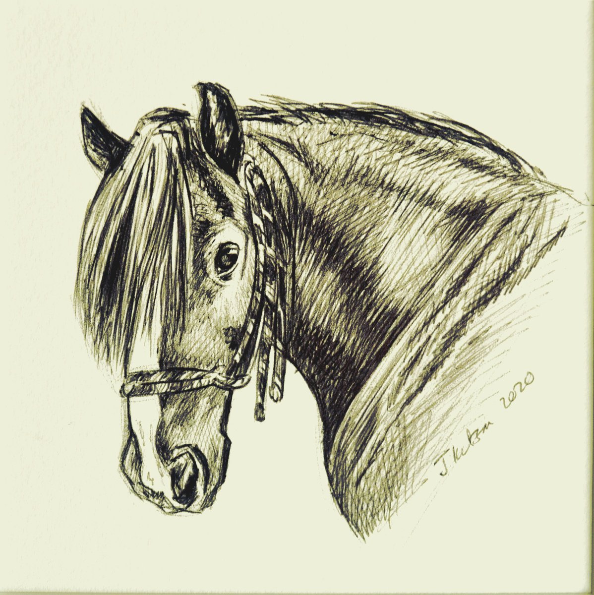 Bob the Cob pony by Joanne Kitson