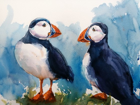 puffin 5