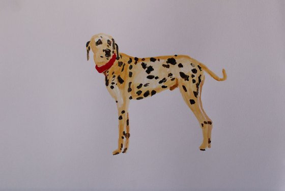 Spotty Dog